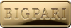 logo BIGPARI